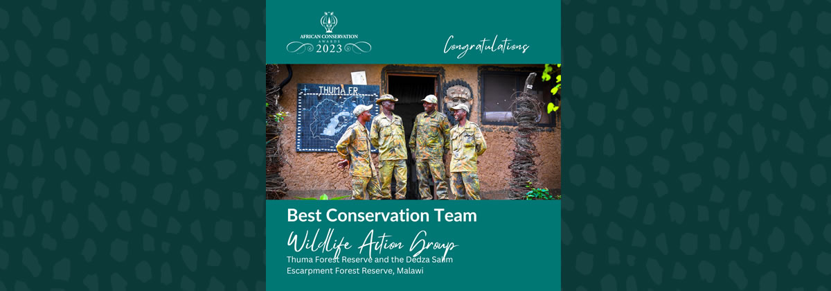 Best conservation team
